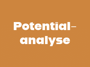 Potentialanalyse